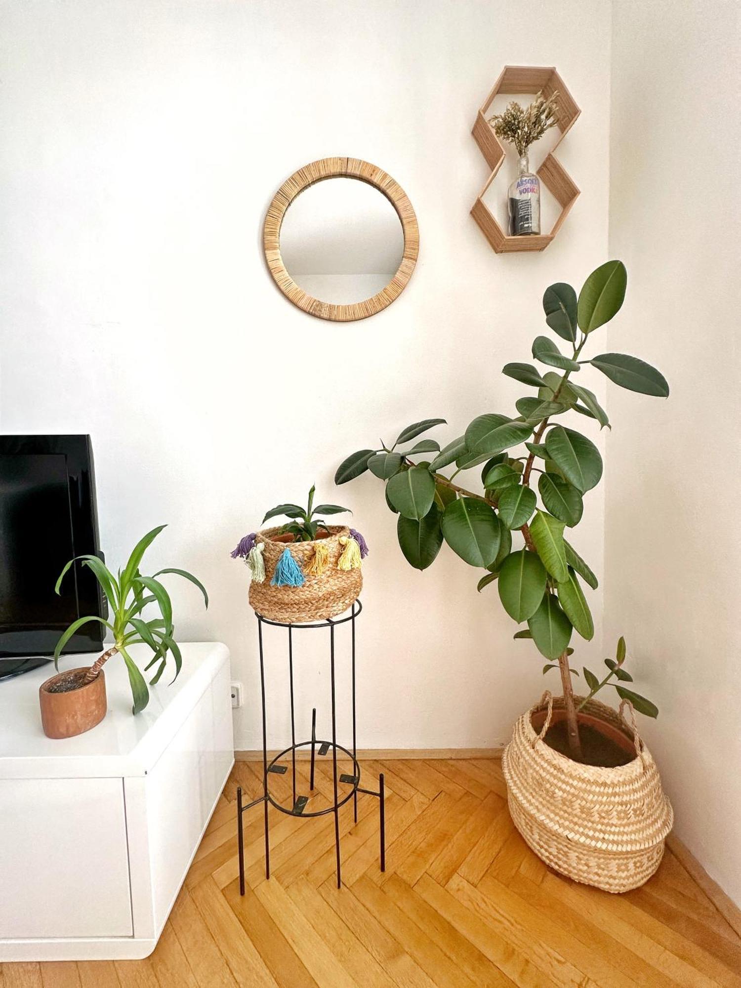 Bright And Central Suite With A Balcony Brno Extérieur photo